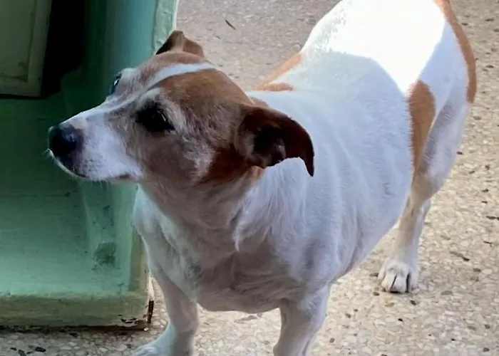 Homestay King Size Bed, Private Parking, Centrally Located