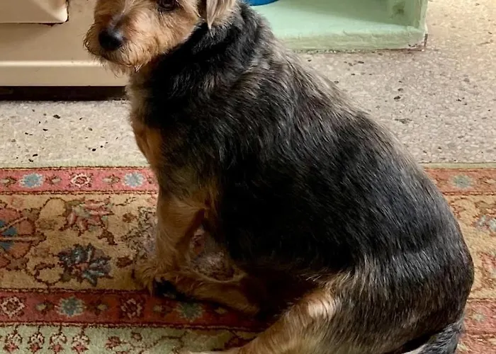 King Size Bed, Private Parking, Centrally Located 홈스테이