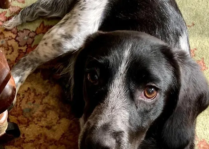 King Size Bed, Private Parking, Centrally Located 홈스테이 *