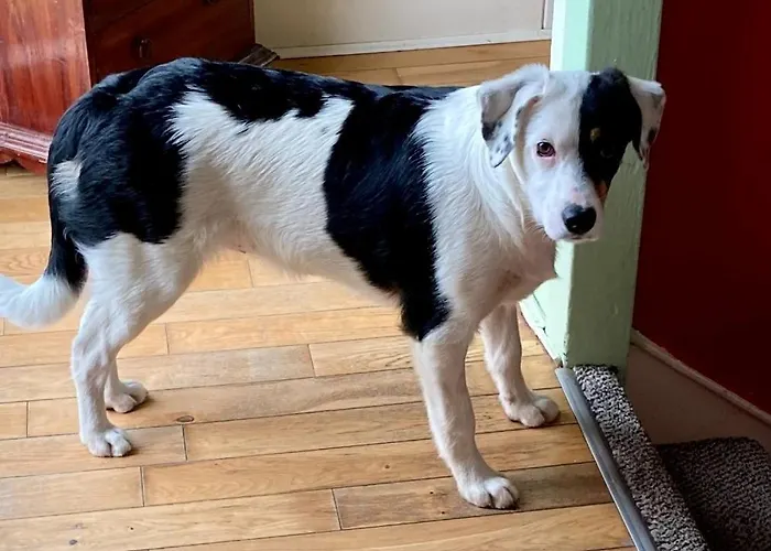 홈스테이 King Size Bed, Private Parking, Centrally Located 킬케니